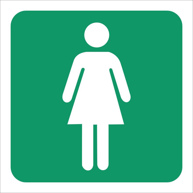 GA10 - SABS Ladies toilet safety sign