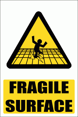 WW10E - Fragile Surface Explanatory Safety Sign
