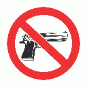 PV19N - No Firearms Safety Sign