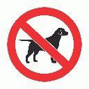 PV20N - No Dogs Allowed Safety Sign